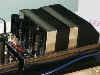 Papworth M100 Valve Monoblocks
